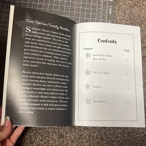 Phonics Bo Peep’s Sheep chapter 10 book - Picture 4 of 8